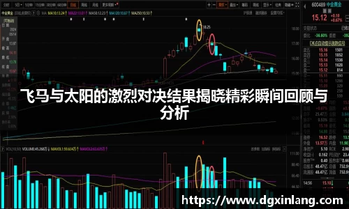 飞马与太阳的激烈对决结果揭晓精彩瞬间回顾与分析